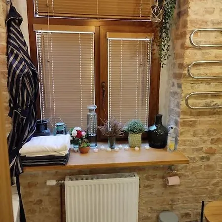 уютный лофт среди старых парков Apartment Riga